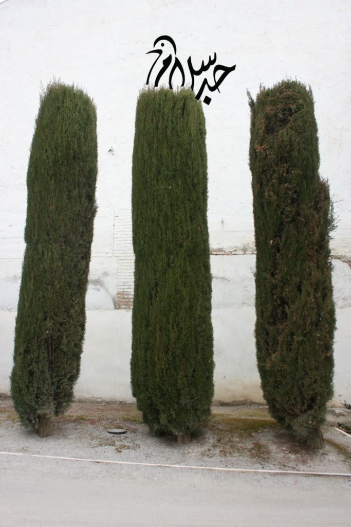 la paix